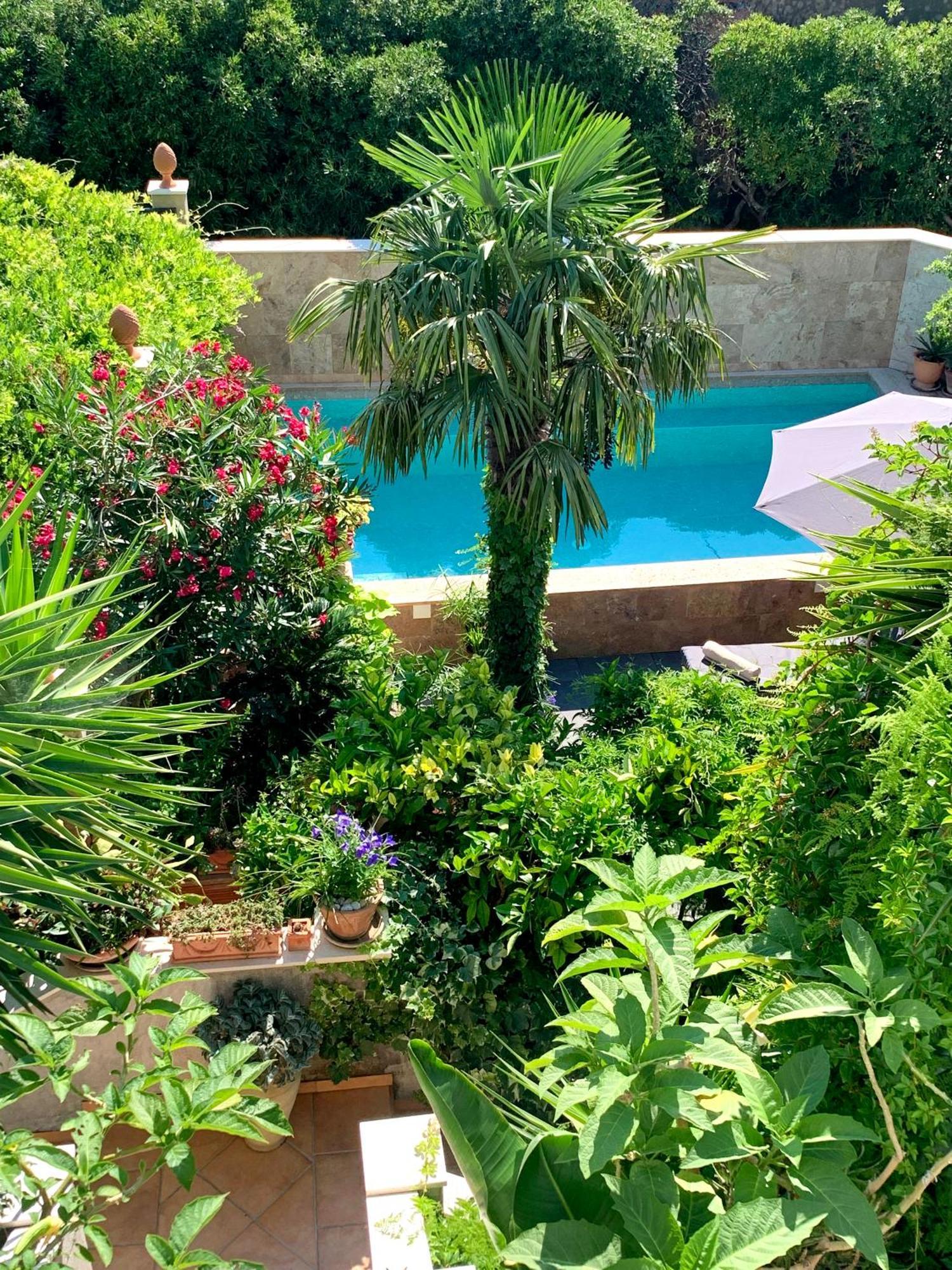 Luxury Pool Central Makarska Apartment By Maryn Εξωτερικό φωτογραφία